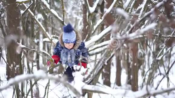 快乐的童年一个快乐的小男孩在冬天的雪林里爬树视频的预览图