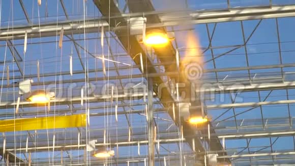 温室天花板上的植物灯和喷洒系统视频的预览图
