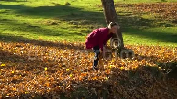 美丽的少女在秋天的森林里玩得很开心她把落叶扔到空中女孩视频的预览图