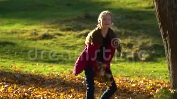 美丽的少女在秋天的森林里玩得很开心她把落叶扔到空中女孩视频的预览图