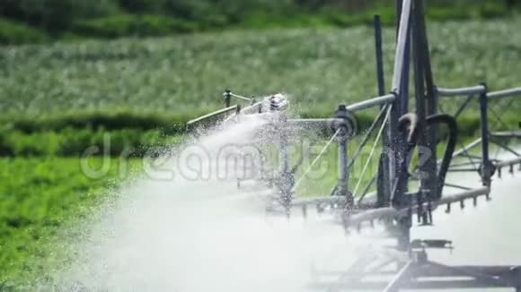 为塞浦路斯的农田浇水的灌溉喷头视频的预览图