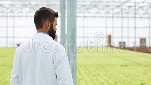 农业工程师分析温室中的植物温室里的农学家穿着白大褂工作ot片视频的预览图
