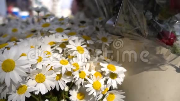 白色的雏菊花视频的预览图