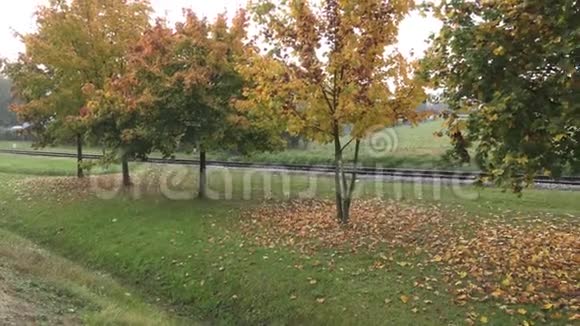 秋天的树秋天的树木和树叶公园里的铁路视频的预览图