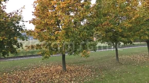 秋天的树秋天的树木和树叶公园里的铁路视频的预览图