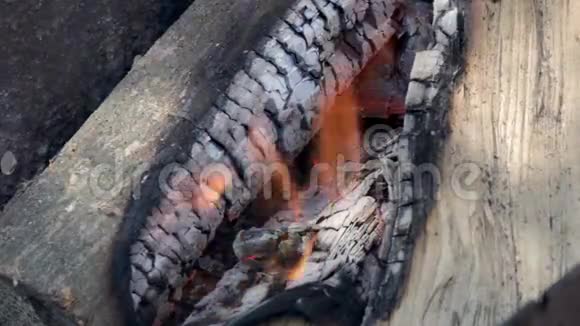 在火中燃烧木材视频的预览图