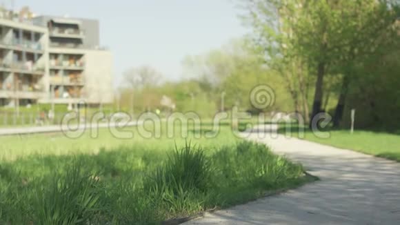 年轻健康的女人参加晨跑视频的预览图