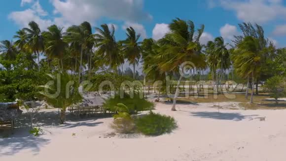 棕榈树在巴拉望的PuntaSebaring一望无际的白色海滩上的空中镜头视频的预览图