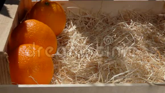 手把成熟多汁的橘子放进木箱里视频的预览图