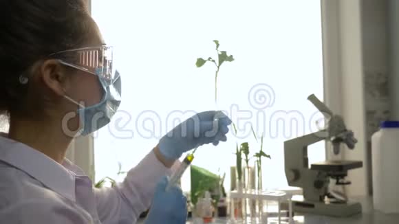 实验室专家戴口罩和带注射器的手套在实验室进行植被试验视频的预览图