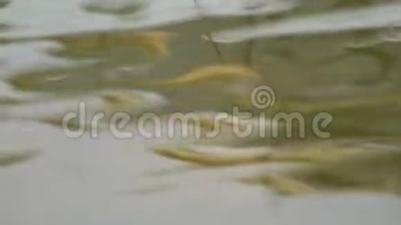 水面波浪水的成因水中的涟漪视频的预览图