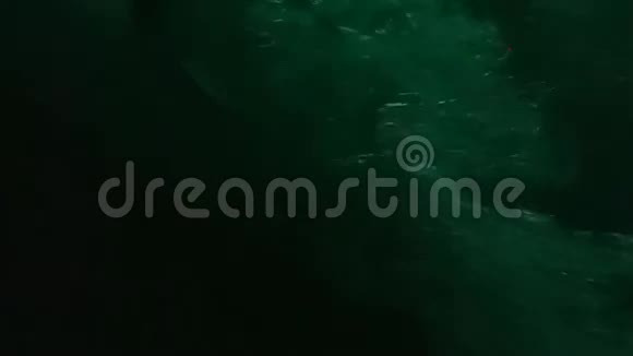 在马尔代夫两个跳舞的大型珊瑚礁壁炉晚上的极端特写镜头视频的预览图
