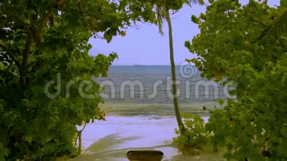 通过绿色植物叶片观赏印度洋绚丽的蓝色绿松石水视频的预览图