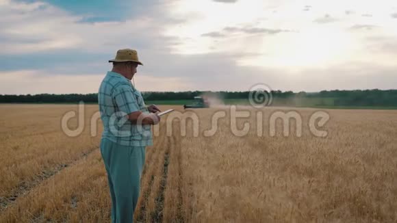 在日落时分在一片麦田里站着的资深农民利用现代农业技术利用现代农业视频的预览图