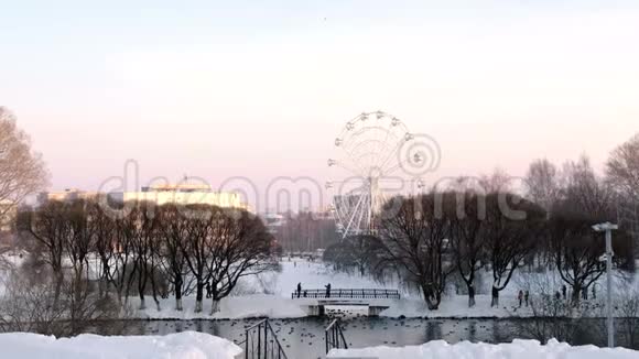 冬季公园的摩天轮城市背景是池塘粉红色的日落天空视频的预览图