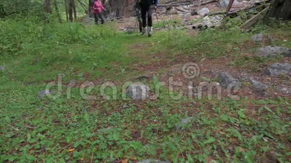 父亲儿子和母亲沿着山路走他们在山里旅行慢动作视频的预览图