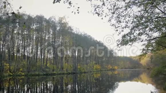 秋天湖的全景它反映了树木视频的预览图