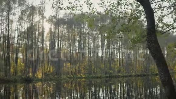 秋天湖的全景它反映了树木视频的预览图