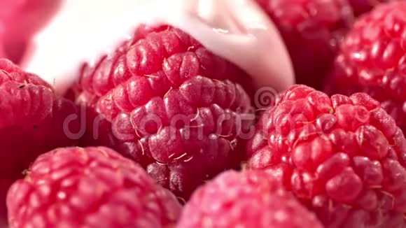 高角度美味的甜点新鲜的红树莓倒入粘稠的白色酸奶或牛奶或奶油视频的预览图