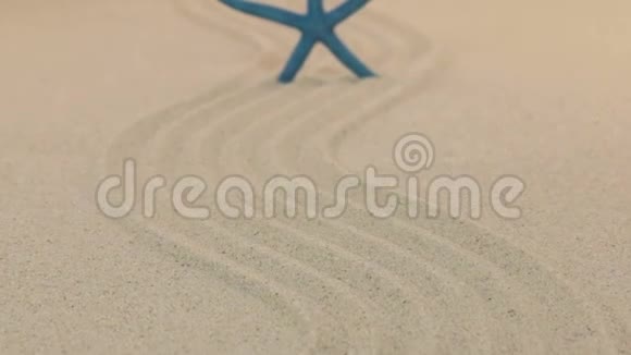 逼近站在沙质线上的蓝色海星向地平线飞去视频的预览图