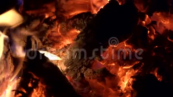 夜与火燃烧的篝火和炽热的煤炭特写视频的预览图