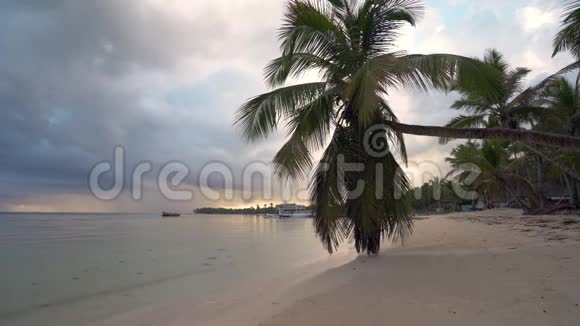 美丽的日出在热带海滩与椰子棕榈树多米尼加共和国蓬塔卡纳度假村视频的预览图