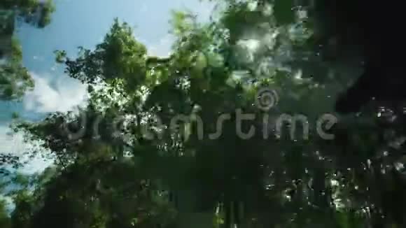 从汽车上穿过树木的阳光视频的预览图