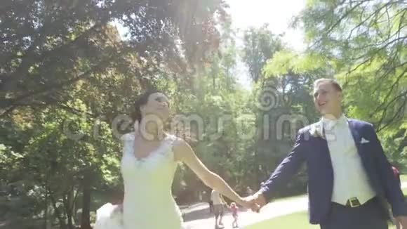 在阳光明媚的春天公园散步时一对迷人的新婚夫妇正在玩得很开心视频的预览图