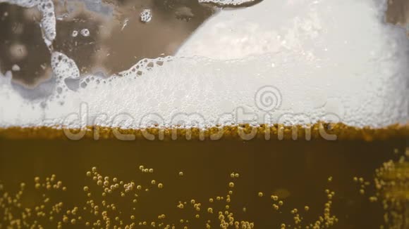 小泡沫玻璃中的金瓶啤酒视频的预览图