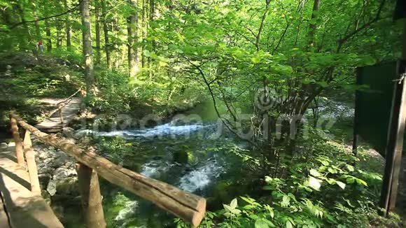 罗马尼亚阿尼纳山脉卡拉斯斯韦林县奥丘尔贝乌里湖视频的预览图