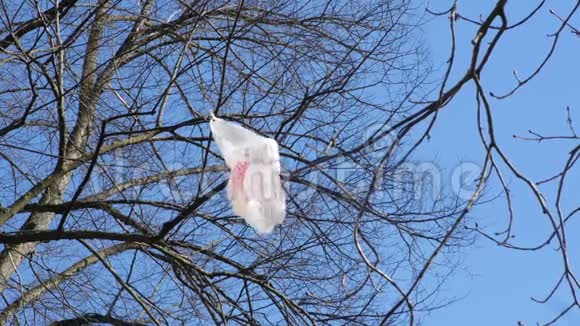 塑料袋在树上飞4K镜头视频的预览图