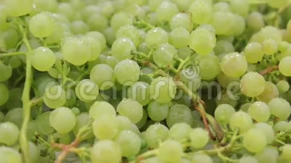 特写镜头天然成熟的绿色葡萄在滴露中旋转食物视频的预览图