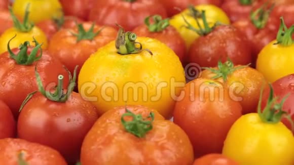 特写镜头天然成熟的黄西红柿在滴露中旋转食物视频的预览图