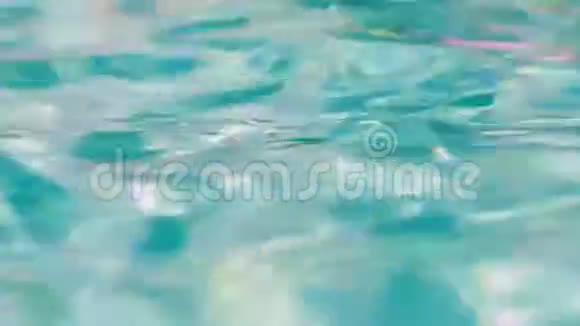 池中碧波荡漾视频的预览图