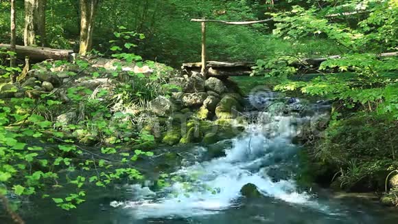 罗马尼亚阿尼纳山脉卡拉斯斯韦林县奥丘尔贝乌里湖视频的预览图