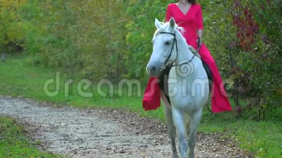 穿红色衣服的年轻女孩骑着白马对抗太阳日落时分女人骑着她的种马在秋林中视频的预览图