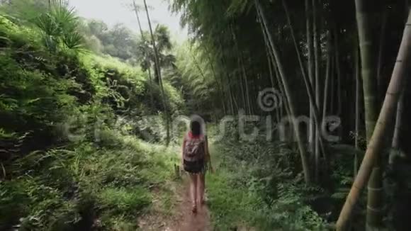 背包女孩在热带公园植物棕榈树竹子种植园的小路上散步视频的预览图