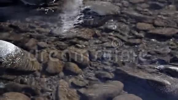 冬季的小山溪在石头和巨石上翻滚的水流视频的预览图