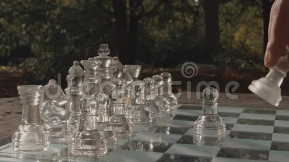 在公园里玩国际象棋视频的预览图