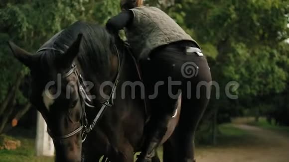 雌马在马镫的帮助下爬上马背抚摸着一匹美丽的棕马视频的预览图