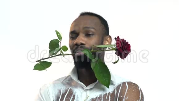 特写镜头穿着白色简易衬衫的黑人用红色玫瑰保护牙齿他身后有两个男人视频的预览图