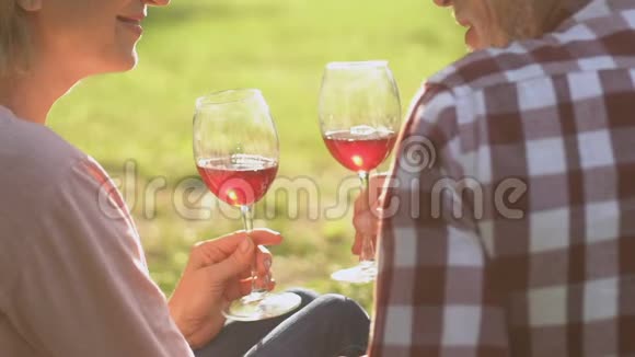 浪漫约会的成年情侣喝酒私人交流信任视频的预览图