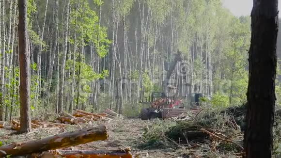 卡车车身装载木材木材收集木材切割视频的预览图