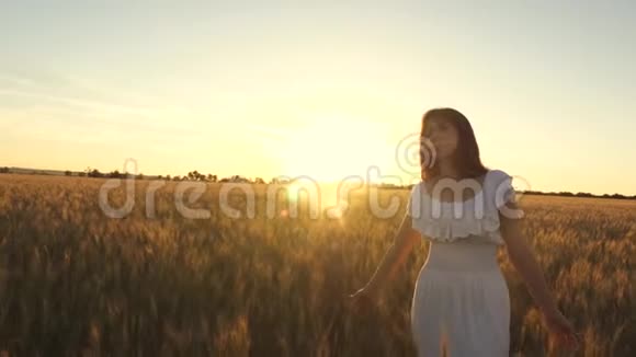 穿着白色连衣裙的快乐女孩带着小麦在美丽的夕阳下散步女孩触摸成熟小麦的耳朵视频的预览图