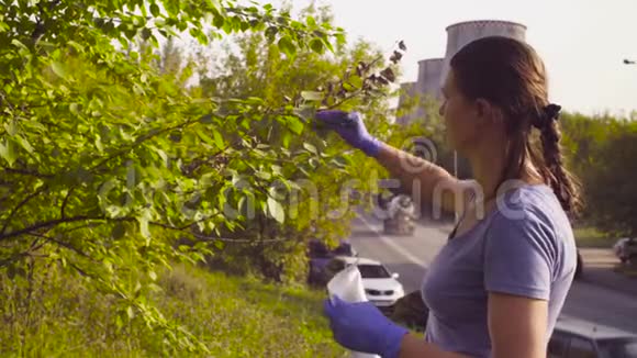 女生态学家在工厂附近采集树叶样本视频的预览图