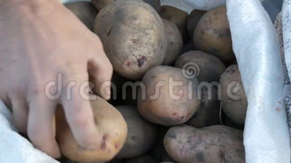 男人的手碰土豆袋装大土豆土豆大丰收近景视频的预览图