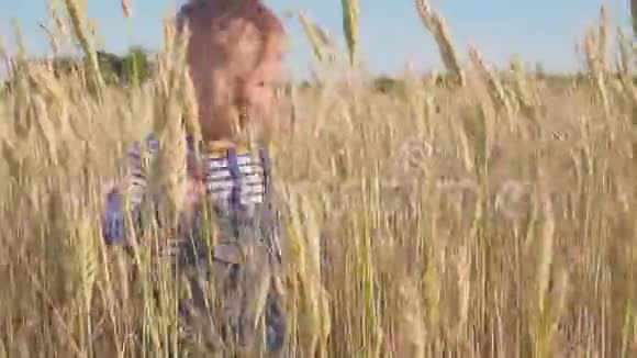 快乐的两岁男孩站在田野上挥手概念小农场主视频的预览图