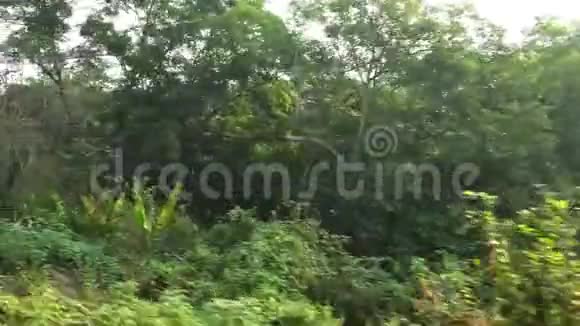 泰国火车动车4从窗口看乡村景色视频的预览图