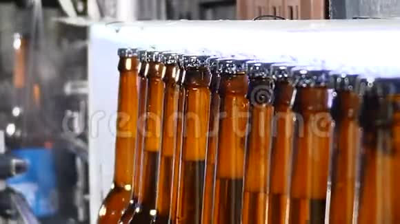 啤酒厂的概念啤酒厂自动啤酒瓶生产线传送带上准备好的装满瓶子的队列关门视频的预览图