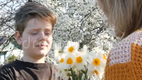 一个少年儿子在一棵盛开的树的背景上送给一个成年中年母亲一束白色水仙花视频的预览图
